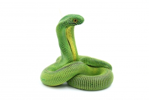 Snake candle cobra