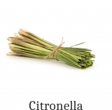 Essential Fragrance Oil for Candles 250 ml Citronella (nature-identical essential oil)