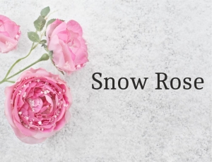 Scented Oil for Candles 1000 ml Snow Rose