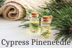 Scented Oil for Candles 1000 ml Cypress Pineneedle