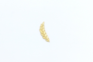 Ear of Grain