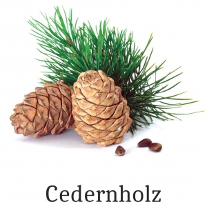 Cedernholz (naturreines, ätherisches Öl)